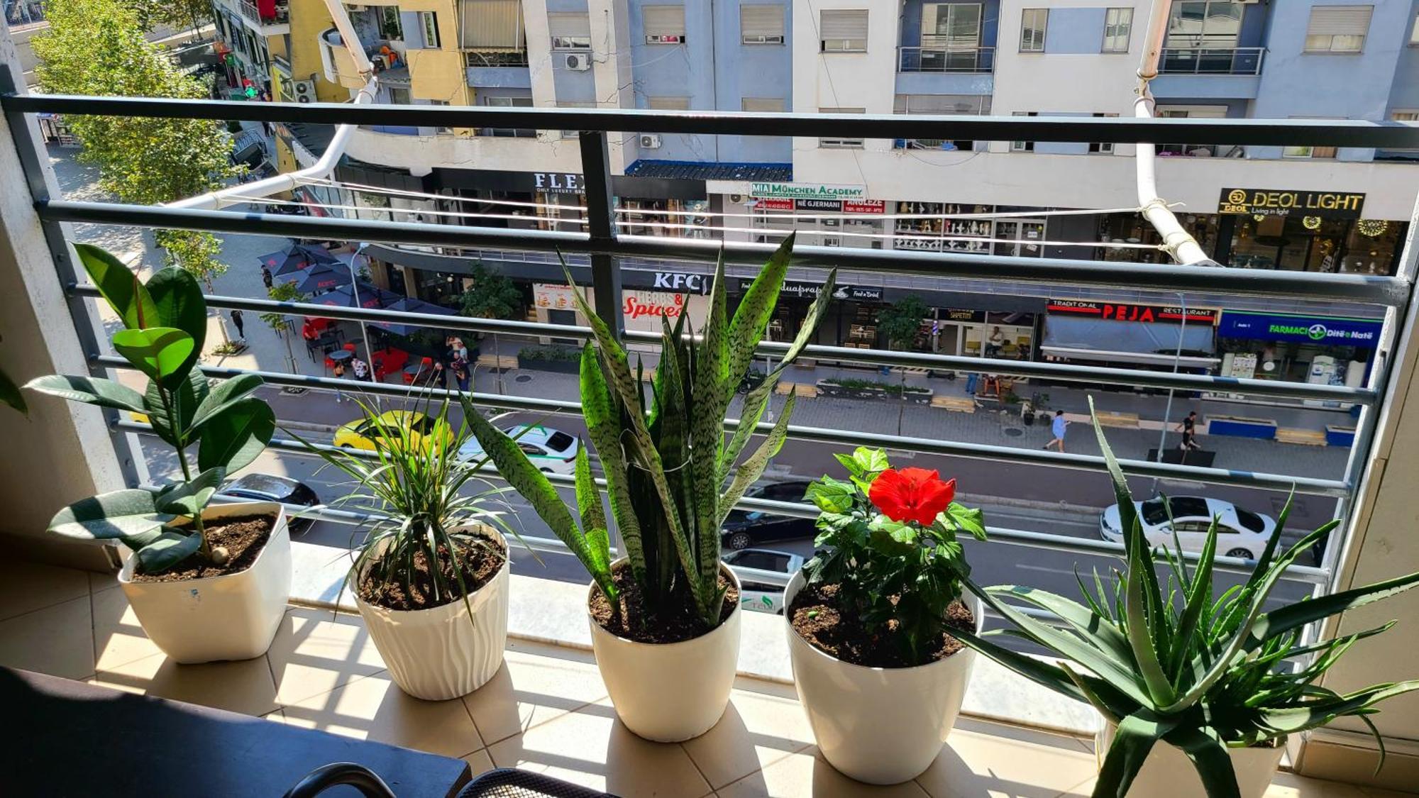 Marinela Apartment Tirana Kültér fotó